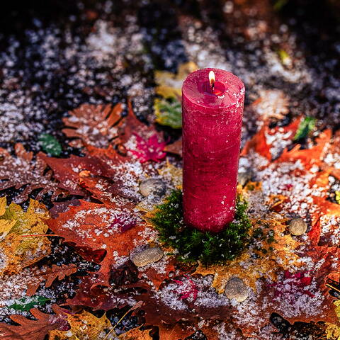 meliso-jahresende_2025-weihnachten-480x480px.jpg Meliso mit neuem Postkarten-Set